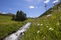 Hiking in the Vinschgau Valley